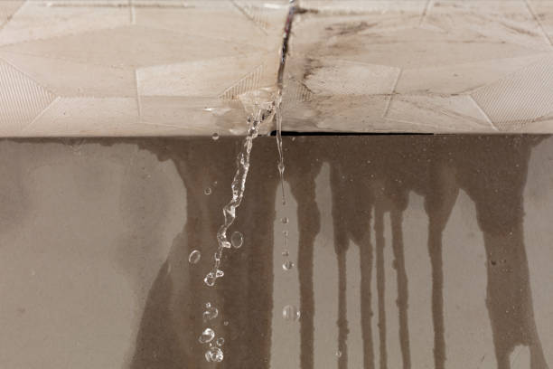 Professional Structural Drying technician working in Groveton, NH